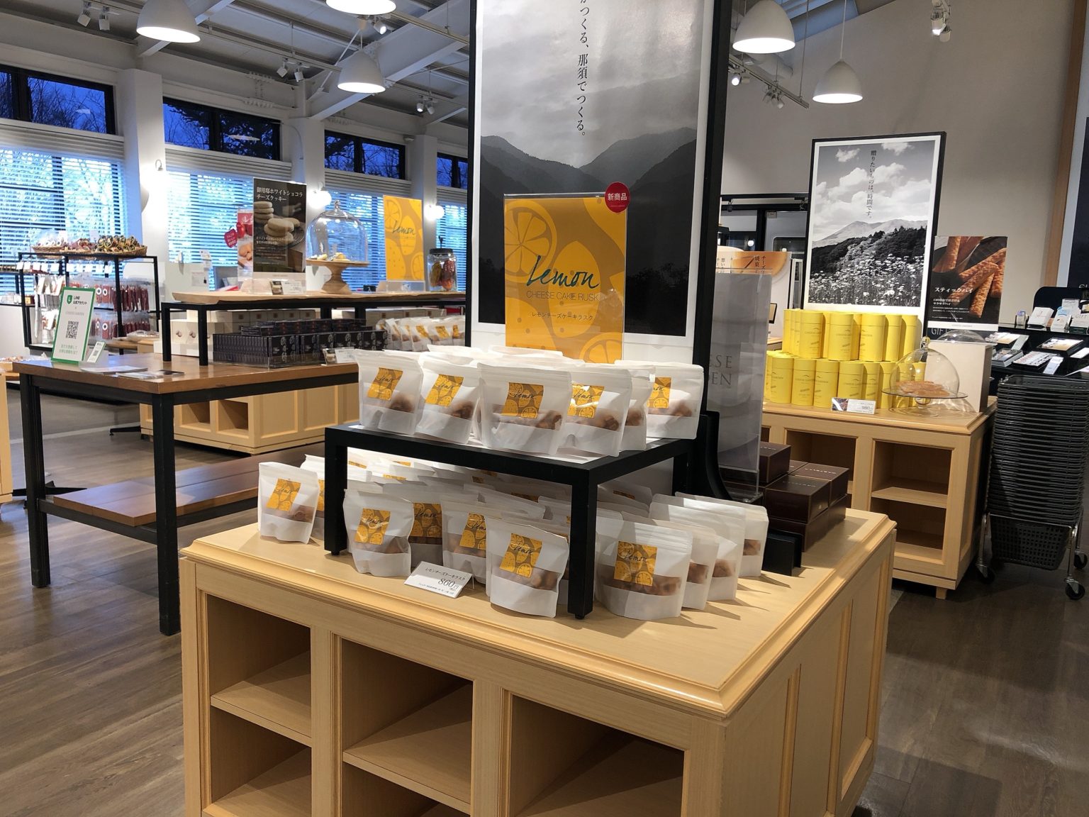 cheesegardennasu_g NASU Walker